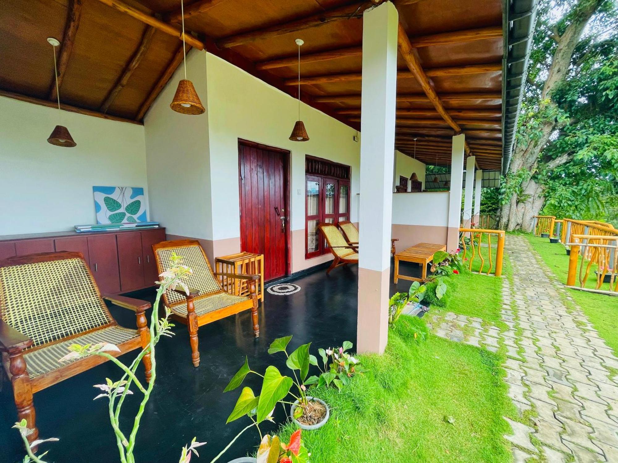 אלה Rainbow Sky Cottage מראה חיצוני תמונה