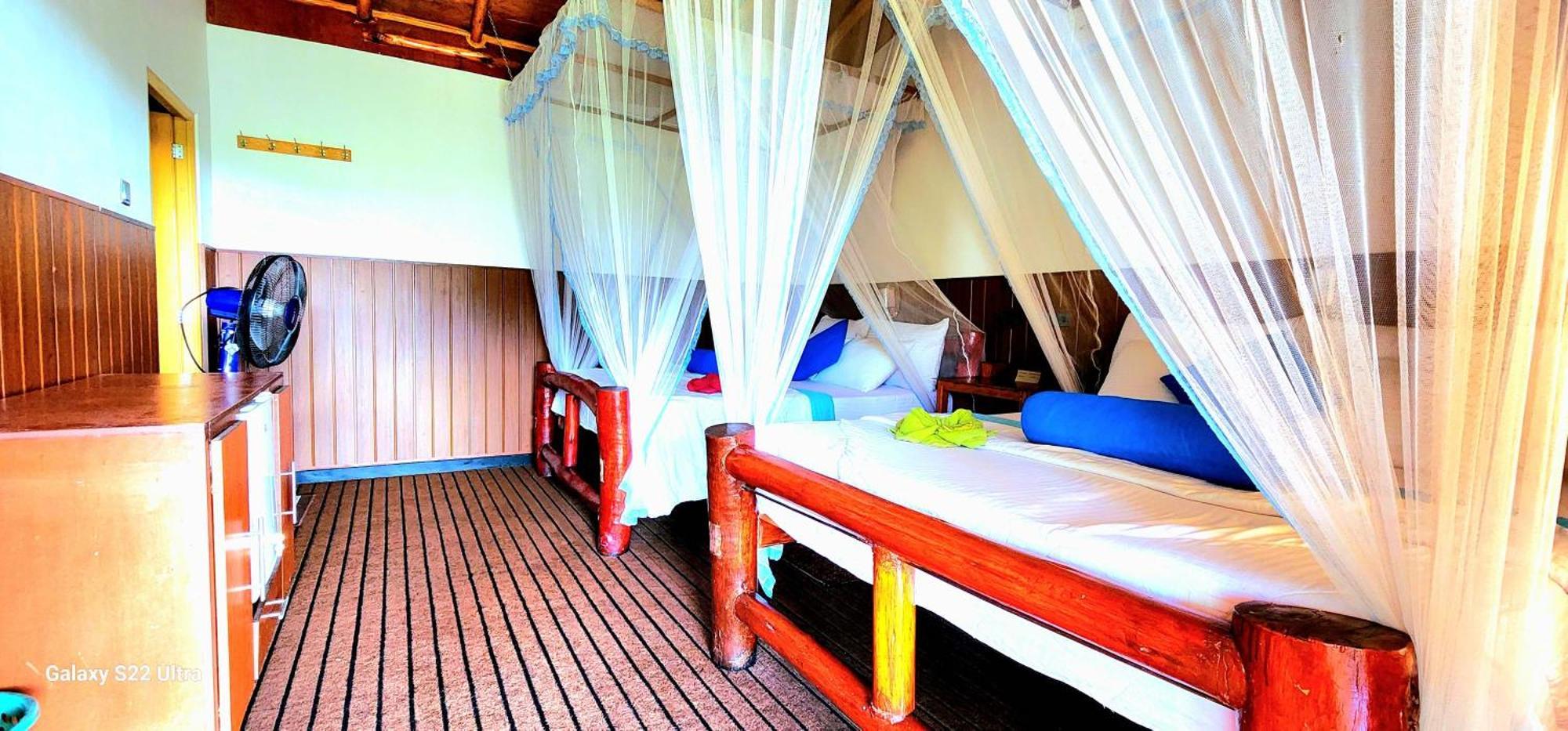 אלה Rainbow Sky Cottage מראה חיצוני תמונה