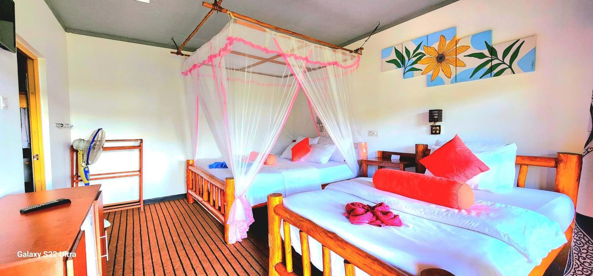 אלה Rainbow Sky Cottage מראה חיצוני תמונה