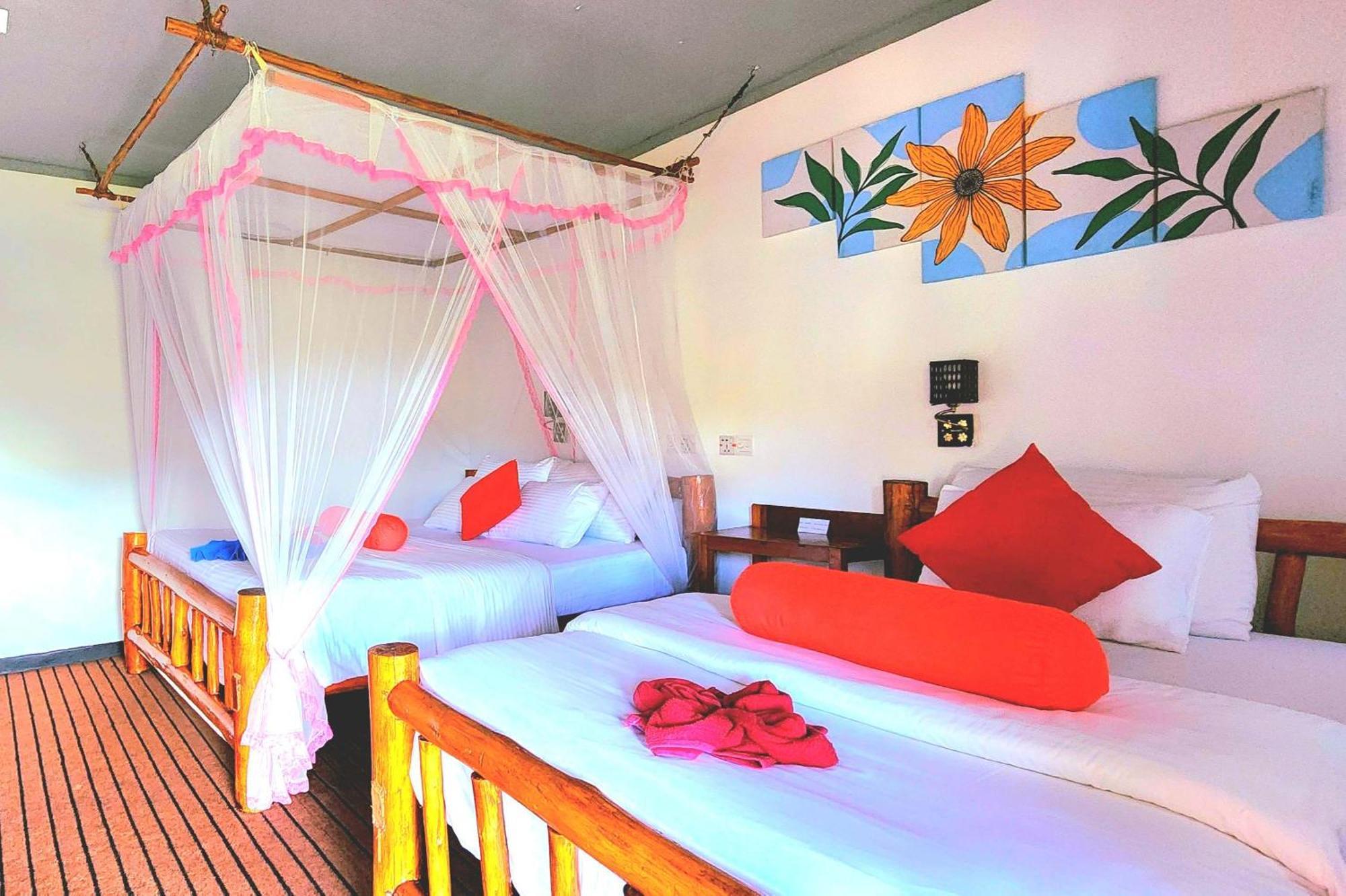 אלה Rainbow Sky Cottage מראה חיצוני תמונה