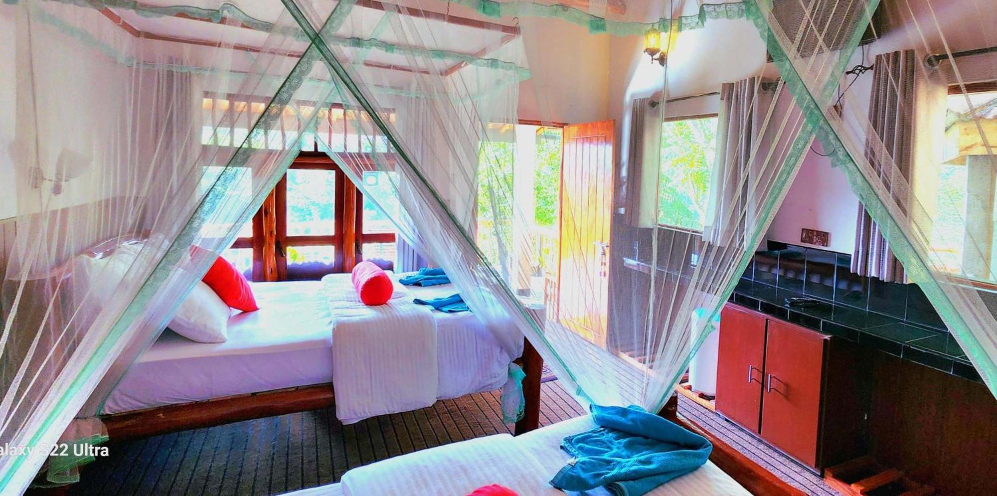 אלה Rainbow Sky Cottage מראה חיצוני תמונה