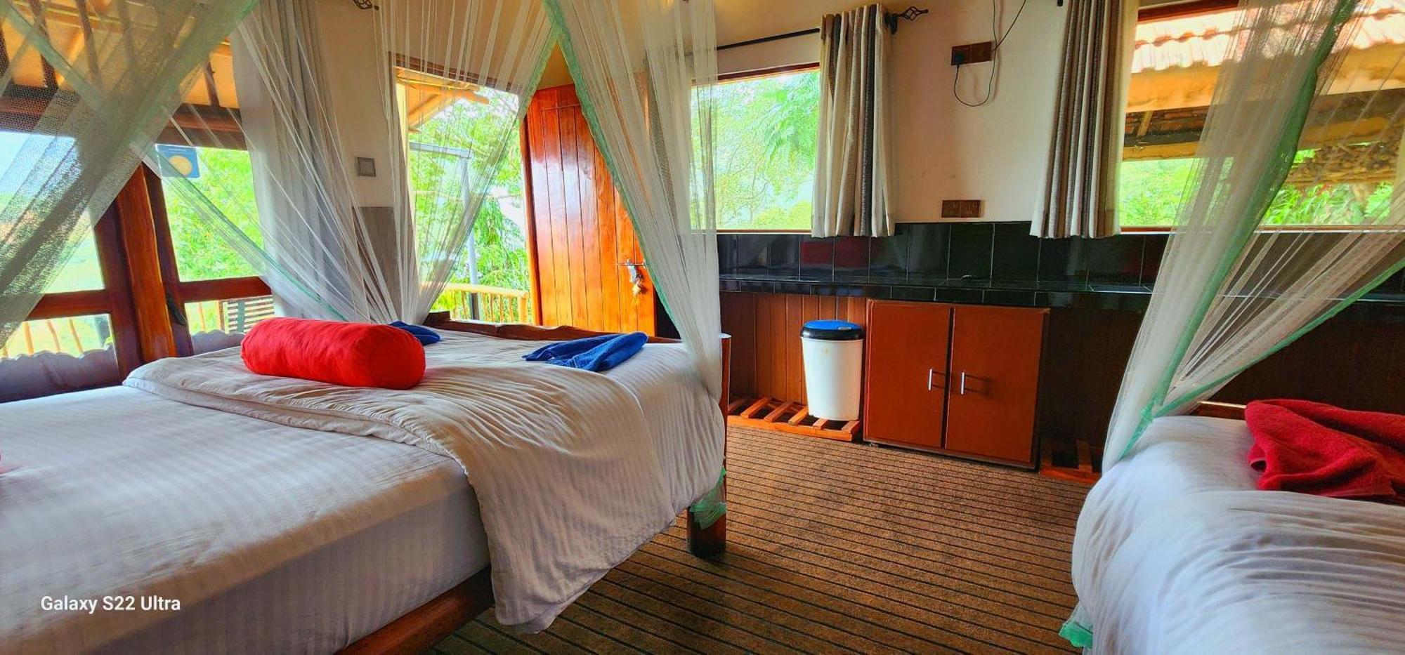 אלה Rainbow Sky Cottage מראה חיצוני תמונה